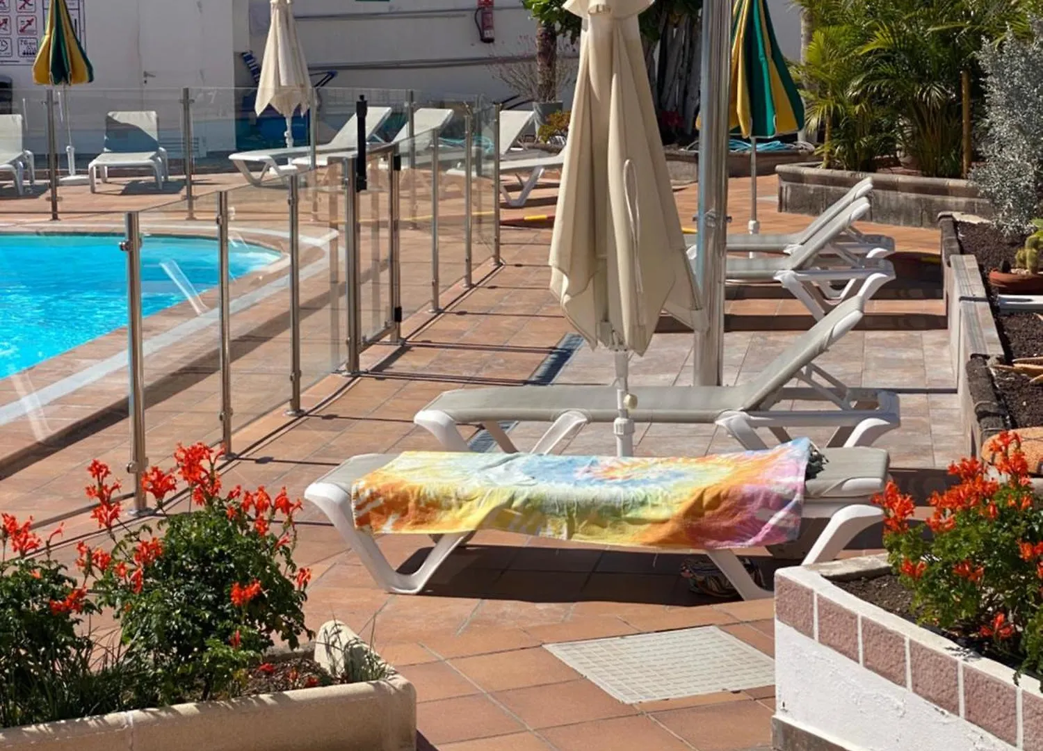 Apartment Butterfly House Vibbecanarias Maspalomas Maspalomas  Spain